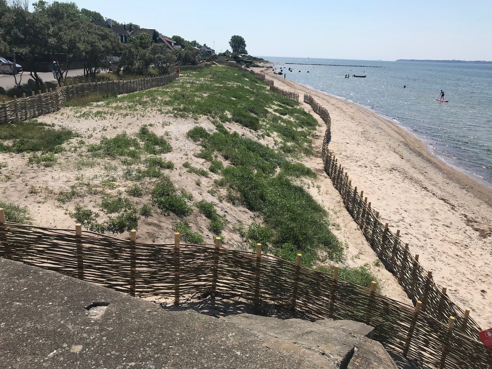 Coastal landscape with sandy beach, green vegetation, and woven fence along the shore. Calm sea and distant paddleboarders under a clear sky.