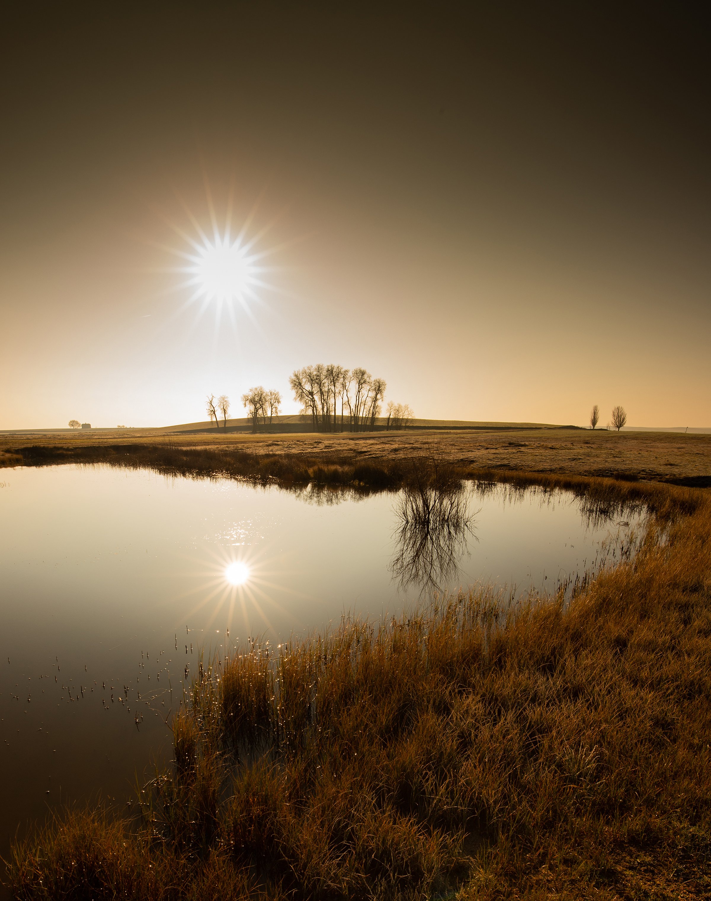 Sunrise over a tranquil pond reflecting trees and sky, with a grassy shoreline and a bright sun in a clear, warm-toned sky.