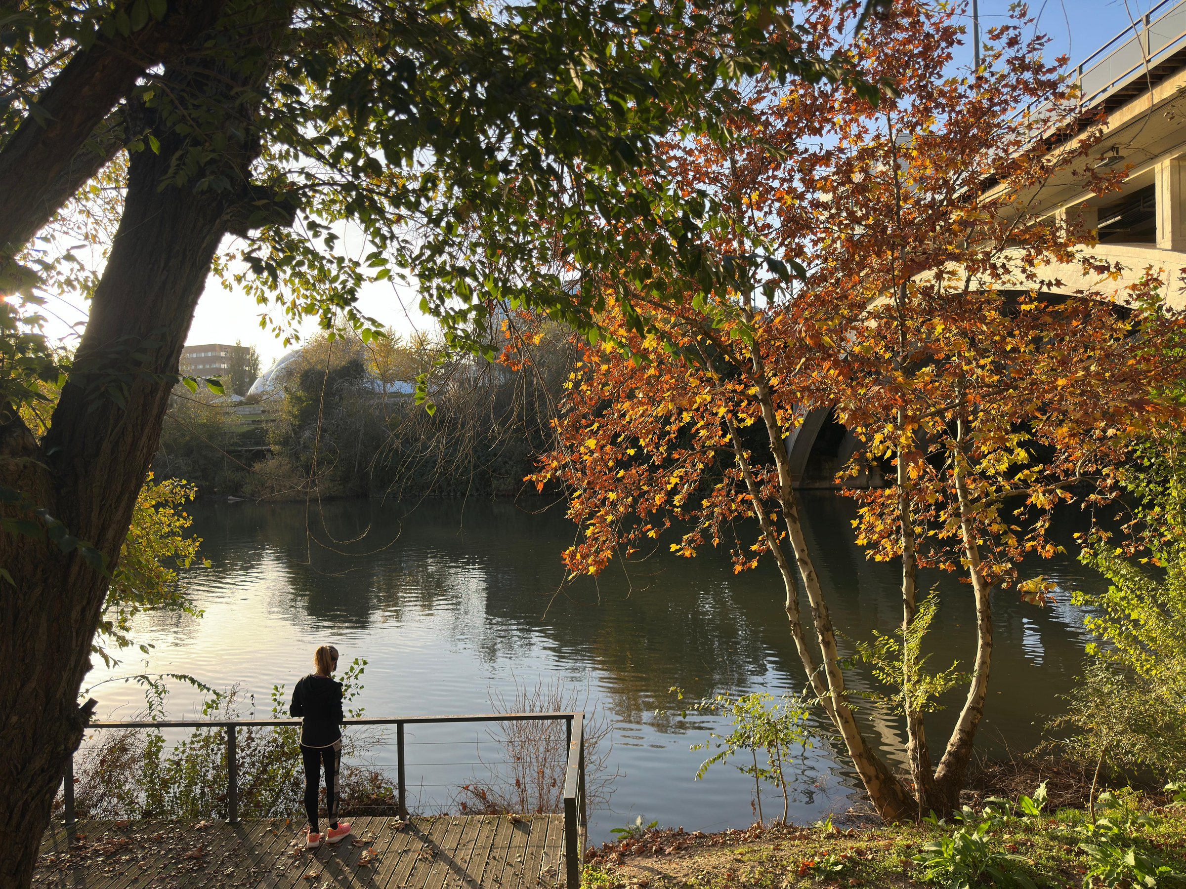 Person standing on a riverside platform under trees with autumn leaves, near a bridge, in the warm glow of late afternoon sun.