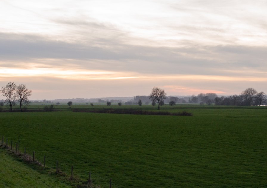 A vast green field under a cloudy sky at dusk, with scattered bare trees and a faint orange glow on the horizon.