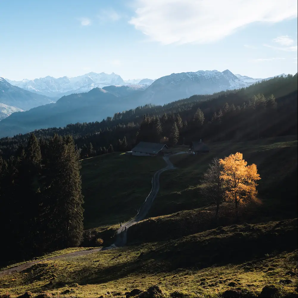 Alpines Tal mit Schotterweg