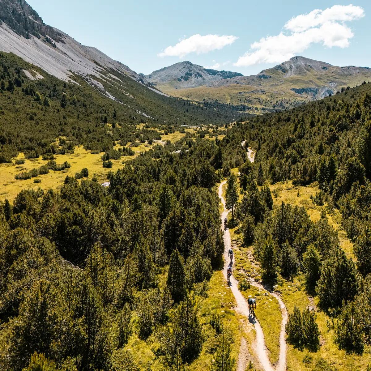 Luftaufnahme von Mountainbikern auf einem Trail durch ein Alpental mit Bergpanorama