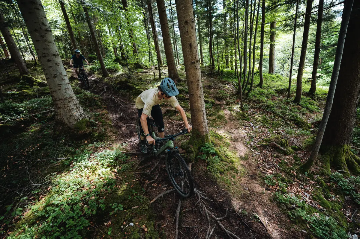 Zwei Fahrer mit Sign-E E-Mountainbikes navigieren einen wurzeligen Waldtrail im Sonnenlicht
