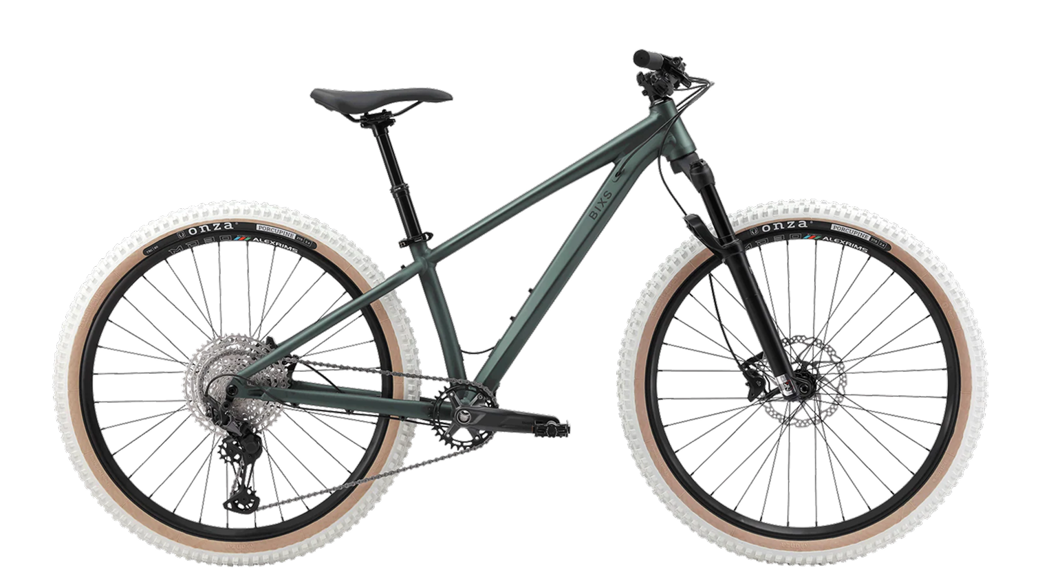 BIXS Traction Hardtail Mountainbike in Grün, Seitenansicht Freisteller