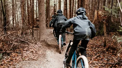 Drei Mountainbiker in dunkler Regenbekleidung fahren hintereinander auf schmalem Waldtrail durch Nadelwald