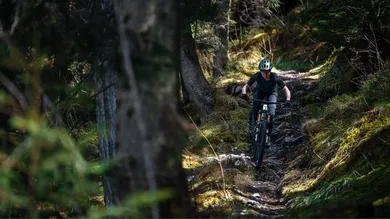 Fahrerin auf Hardtail im Wurzeltrail zwischen moosbewachsenen Felsen im Wald