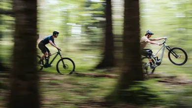 Zwei Mountainbiker fahren mit hohem Tempo durch einen sonnendurchfluteten Wald