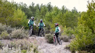 Drei BIXS Race Team Fahrer in grünen Trikots mit Fullface-Helmen auf Enduro-Trail zwischen mediterranen Pinien