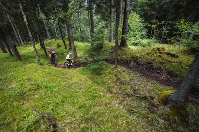 Zwei Mountainbiker fahren auf einem Waldtrail durch dichten Nadelwald