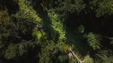 Luftaufnahme von zwei Fahrern des BIXS Sign EX auf einem Waldtrail
