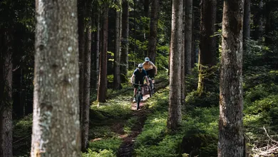 Zwei Fahrer mit BIXS Sign Mountainbikes auf schattigem Waldtrail zwischen hohen Nadelbäumen