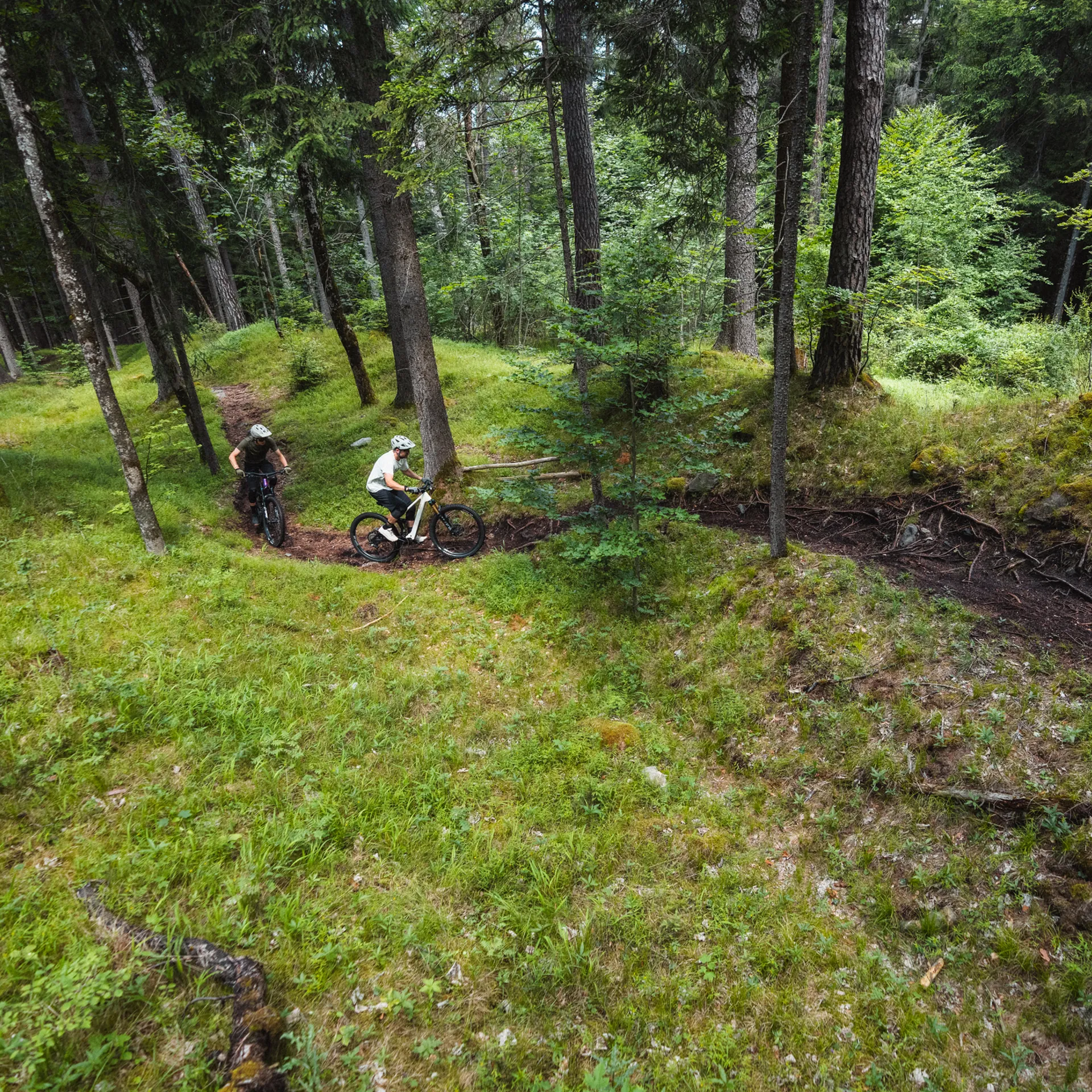 Zwei E-Mountainbiker fahren auf einem schmalen Trail durch einen lichten Wald