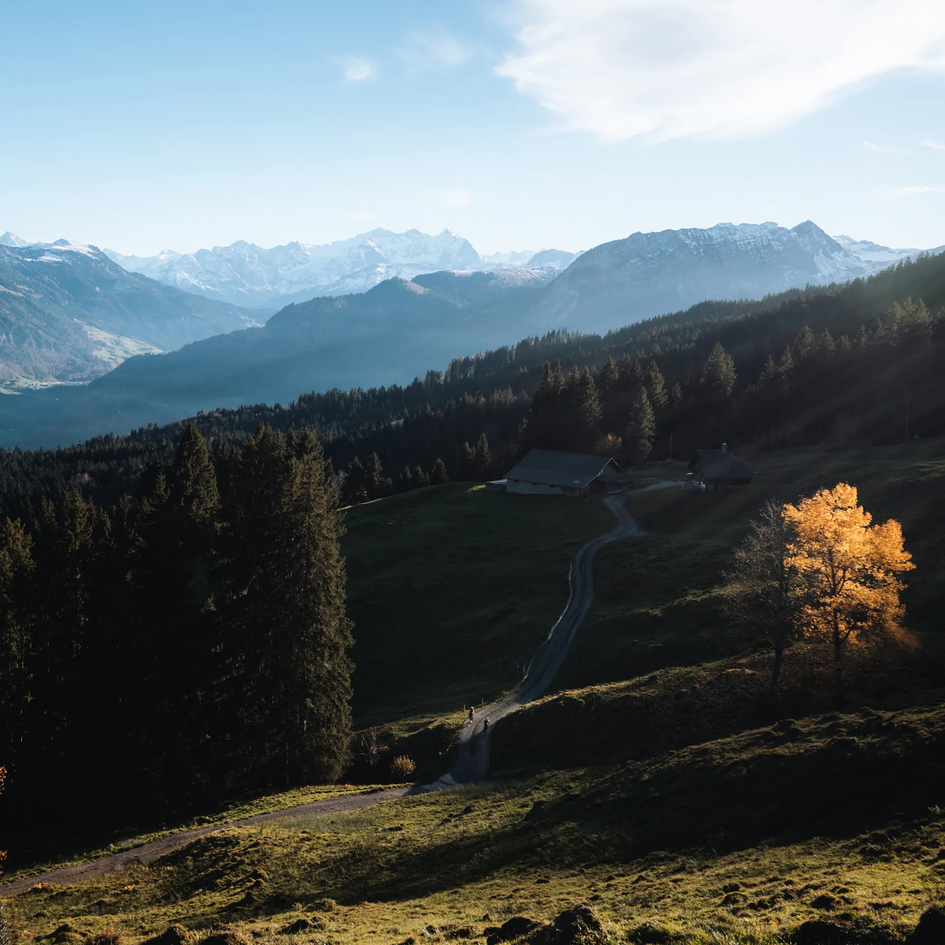 Gravel-Trail führt durch herbstliche Alpenlandschaft mit Bergpanorama im Hintergrund
