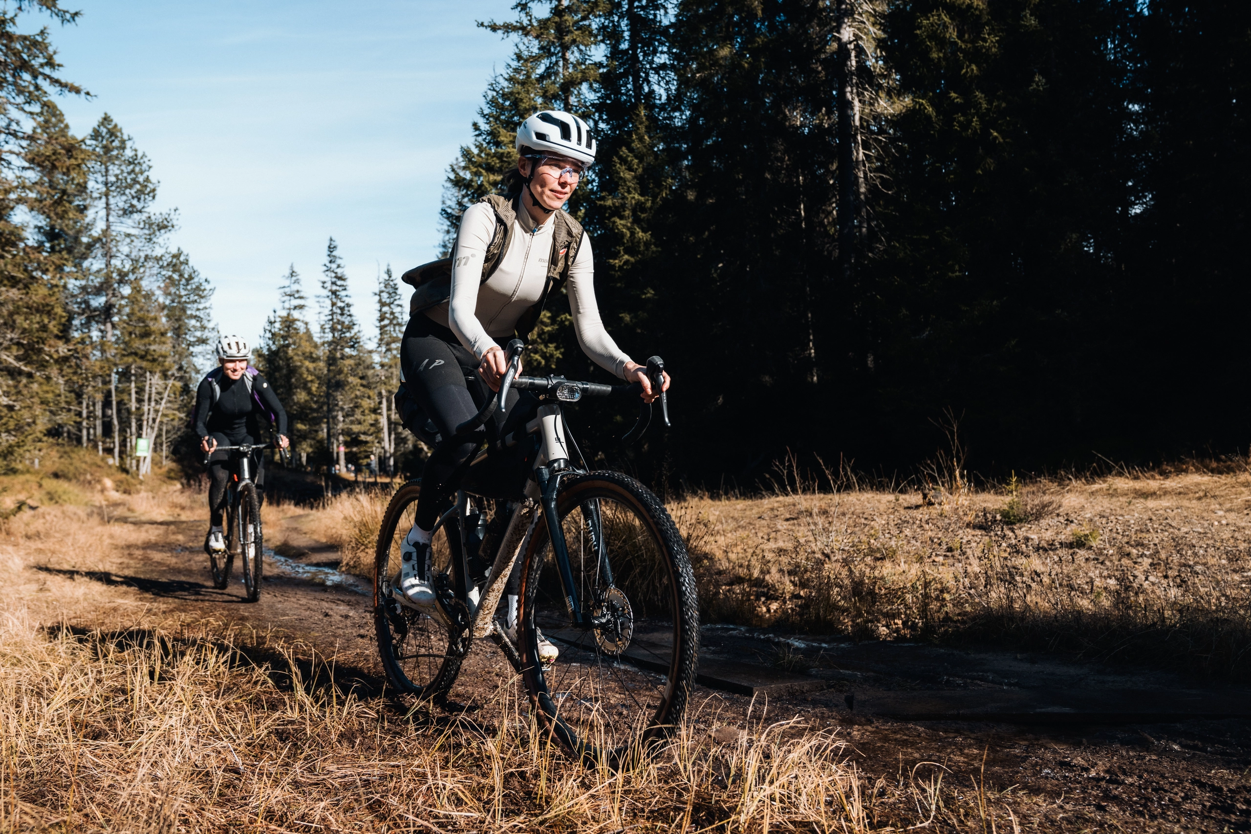 Zwei Fahrerinnen mit Traverse Gravelbikes auf sonnigem Waldweg, Nadelwald im Hintergrund