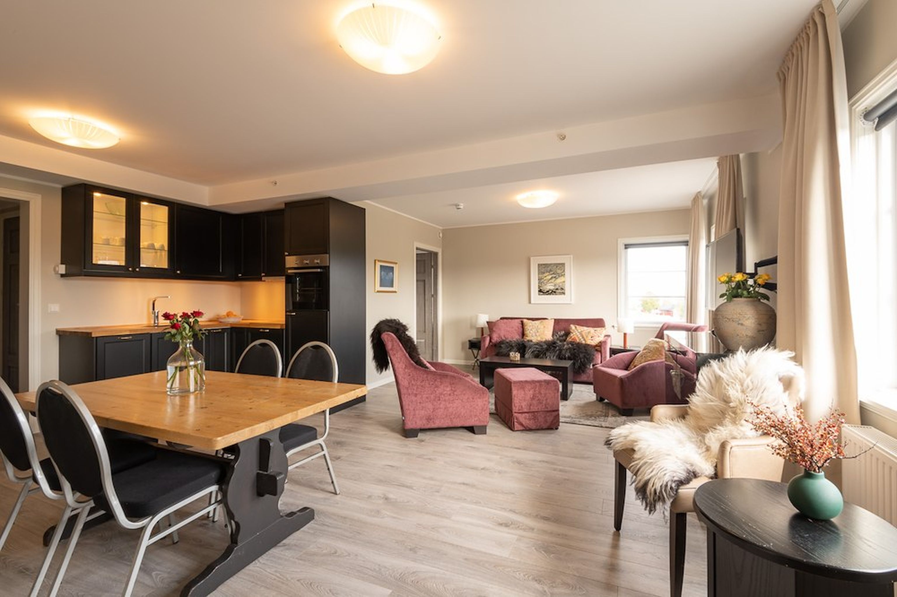 Apartment/family room