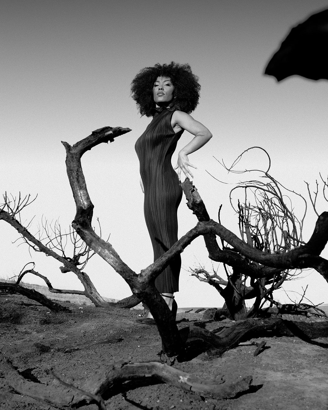 Madison Mcferrin