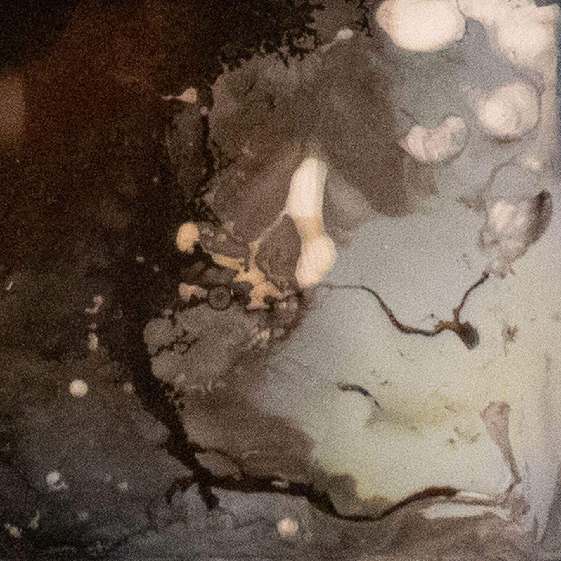 Moonlet album