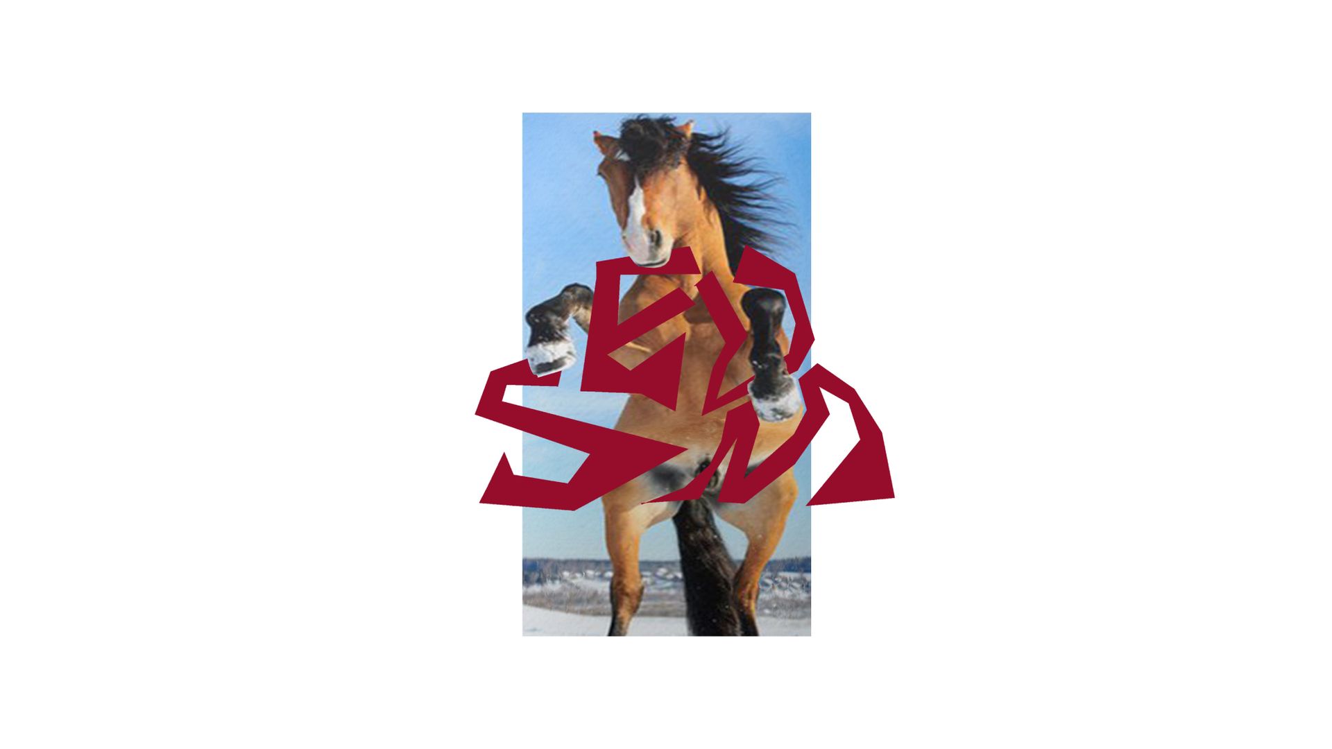 hästfest 30 maj 2026 Nalen Stockholm