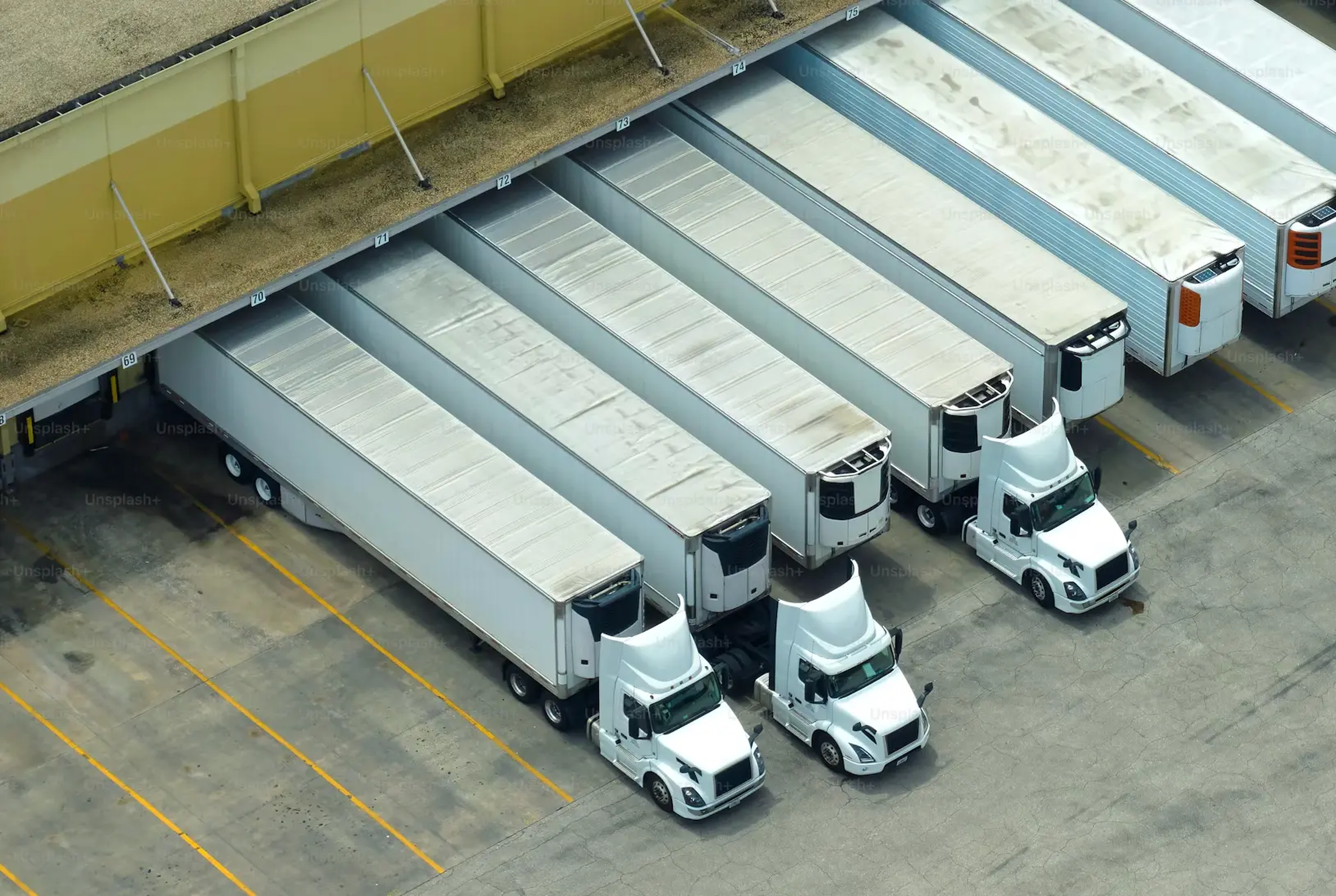 Freight Rate Management Software: Automate & Optimize Costs