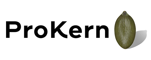 Referenz ProKern