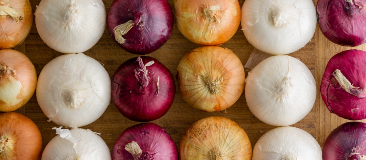 Verschiedene Zwiebelarten in einer Reihe von oben.