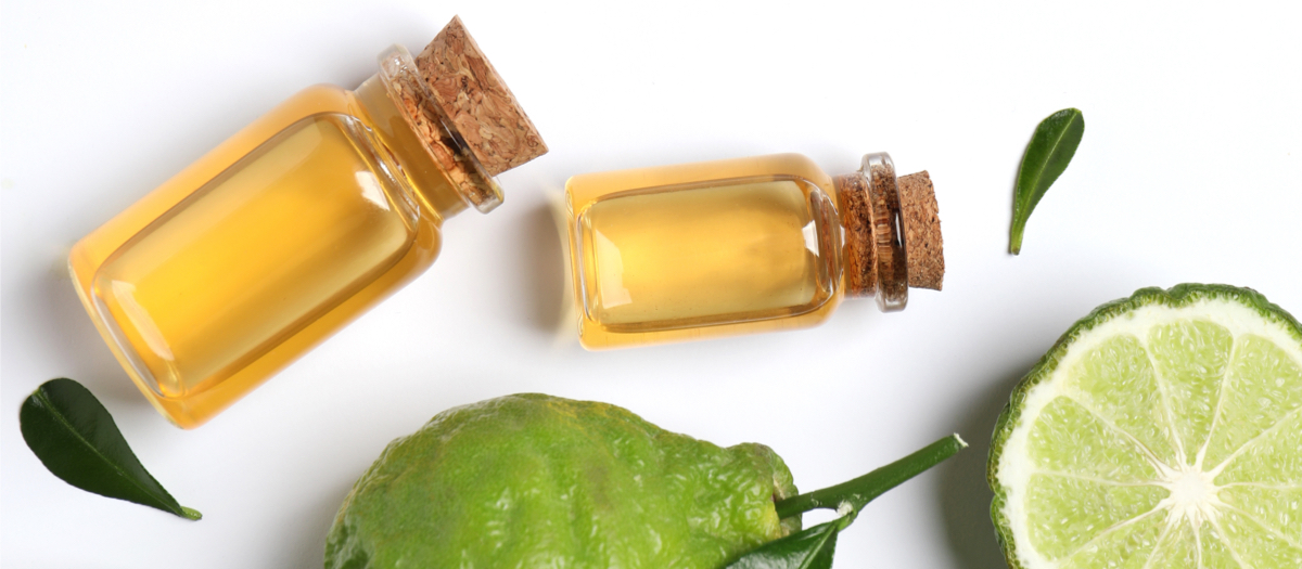 Von oben: Bergamotten und zwei kleine Fläschchen mit Bergamotten-Extrakt.