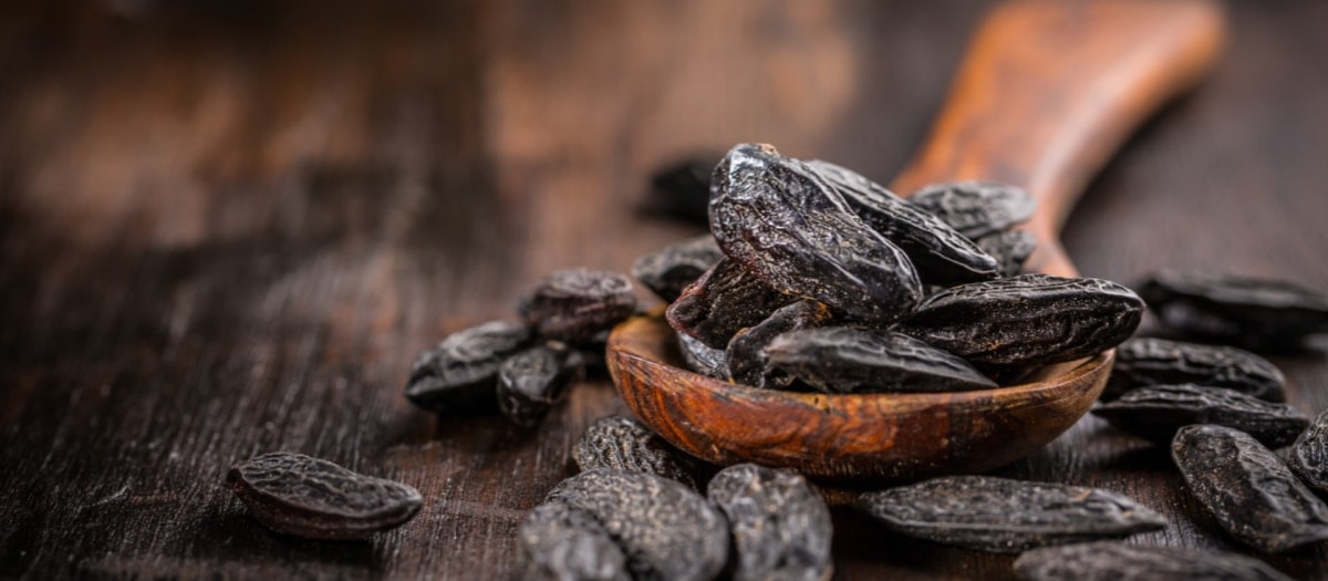 Tonkabohnen und ein Holzlöffel liegen auf einem Tisch.