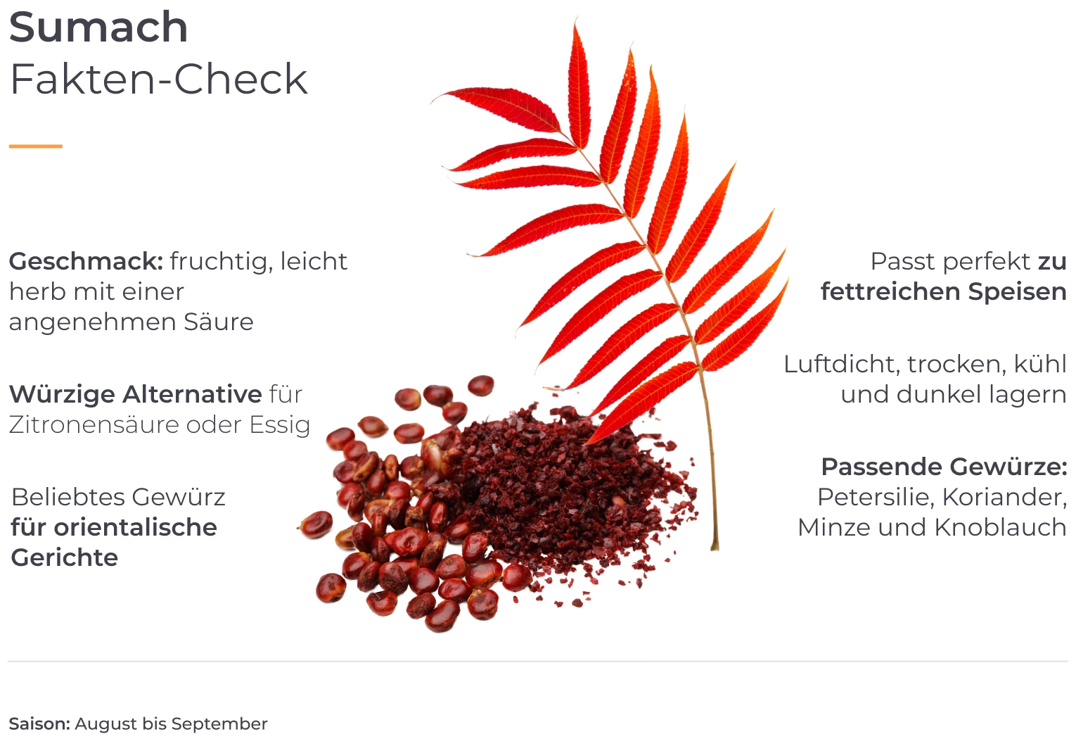 Info-Grafik zu Fakten über Sumach.
