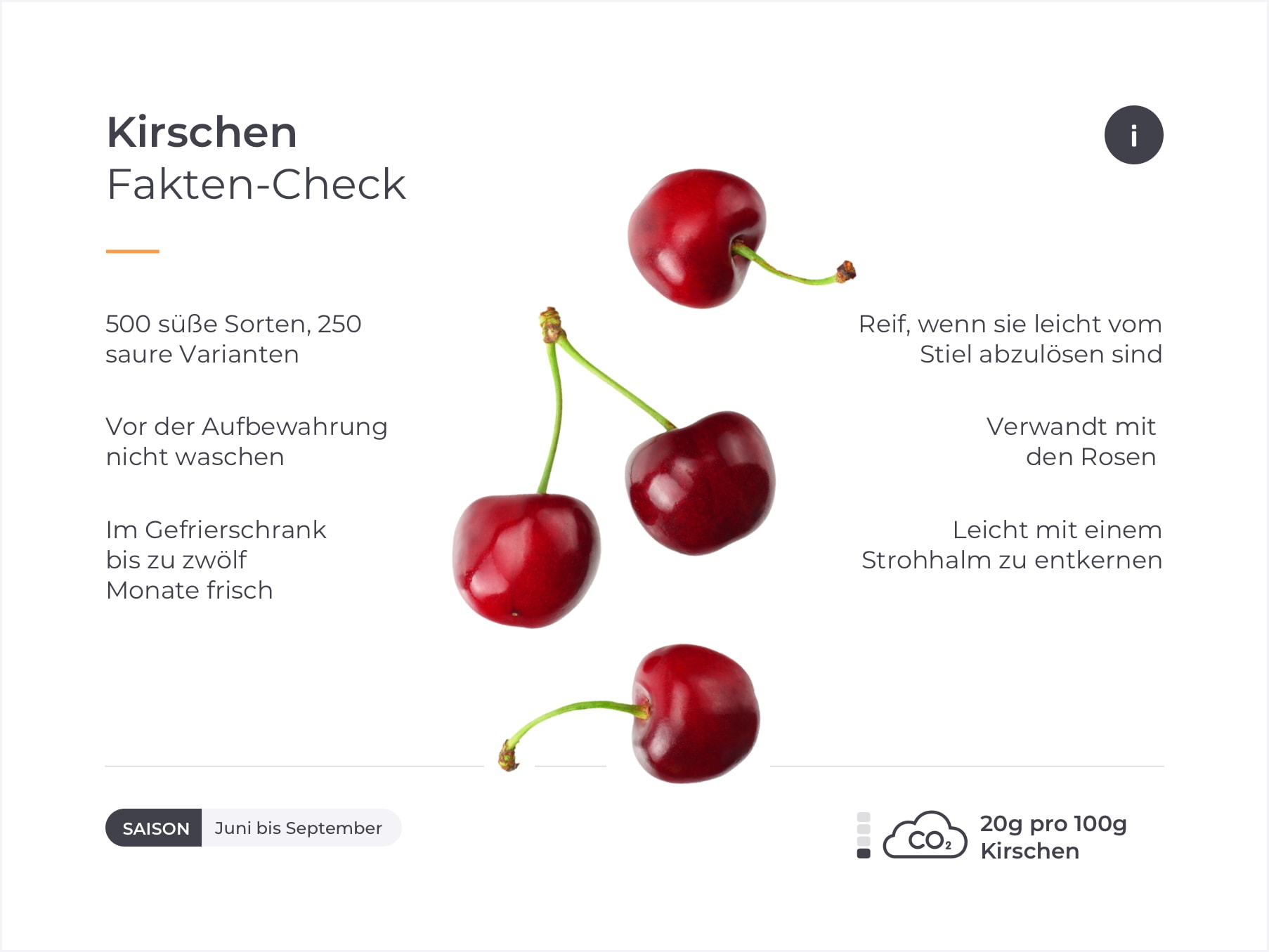 Infografik mit Fakten zur Kirsche.