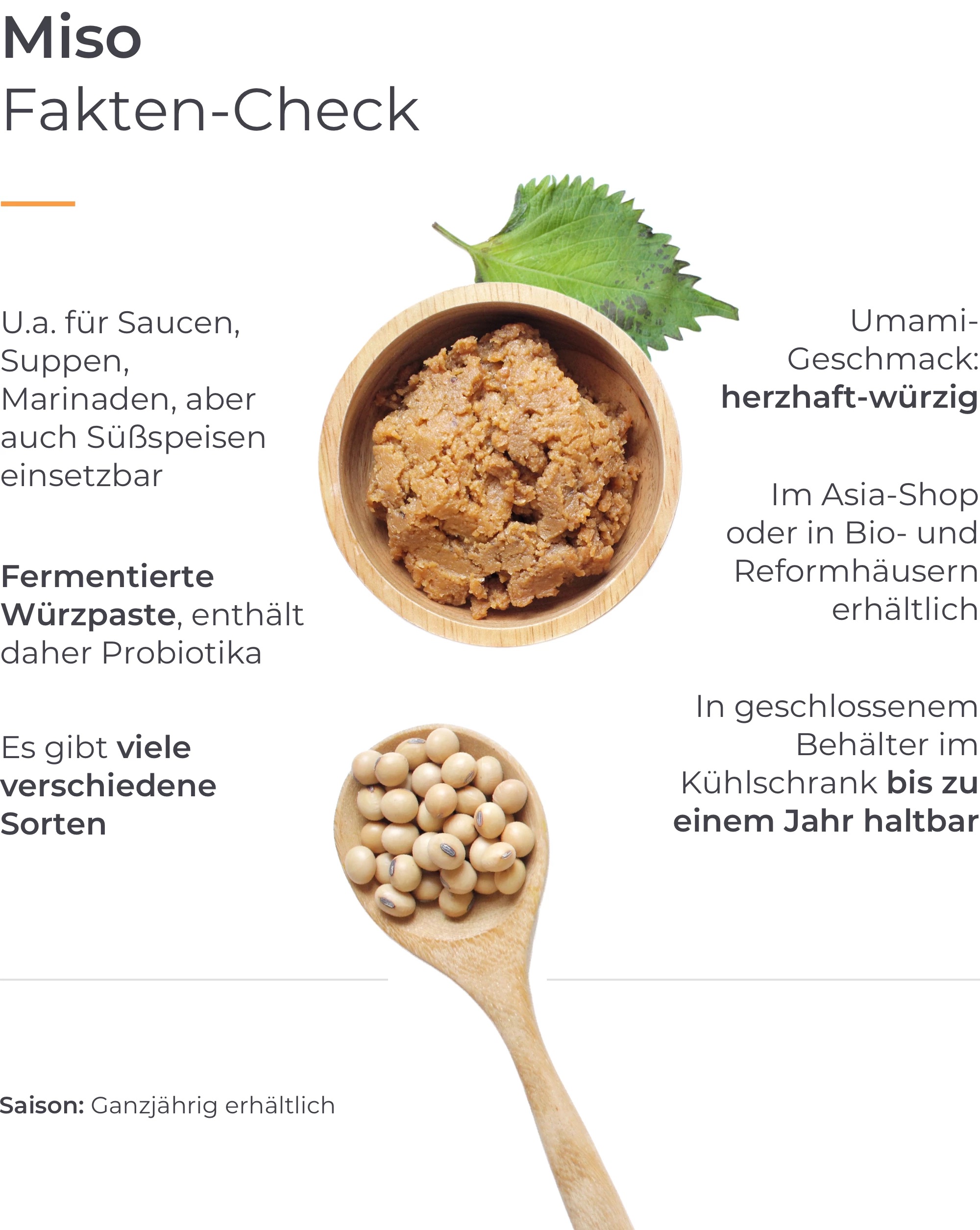 Infografik Miso-Paste