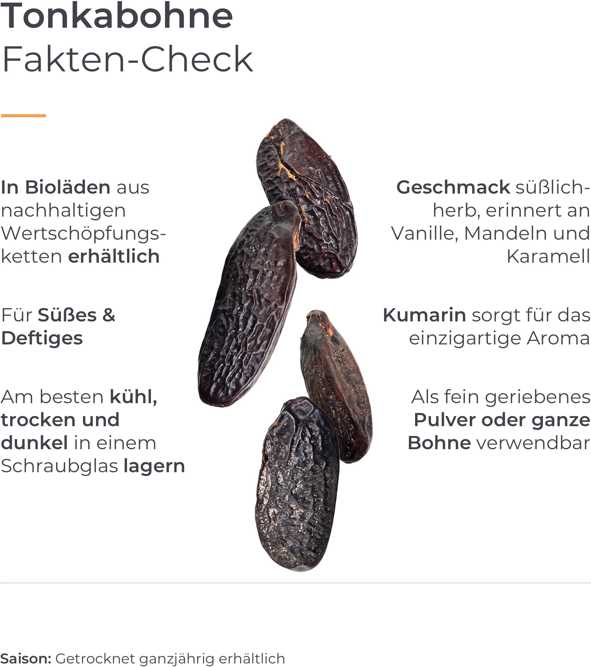 Der Geschmack der Tonkabohne erinnert an Vanille. Infografik mit Fakten zur Tonkabohne.