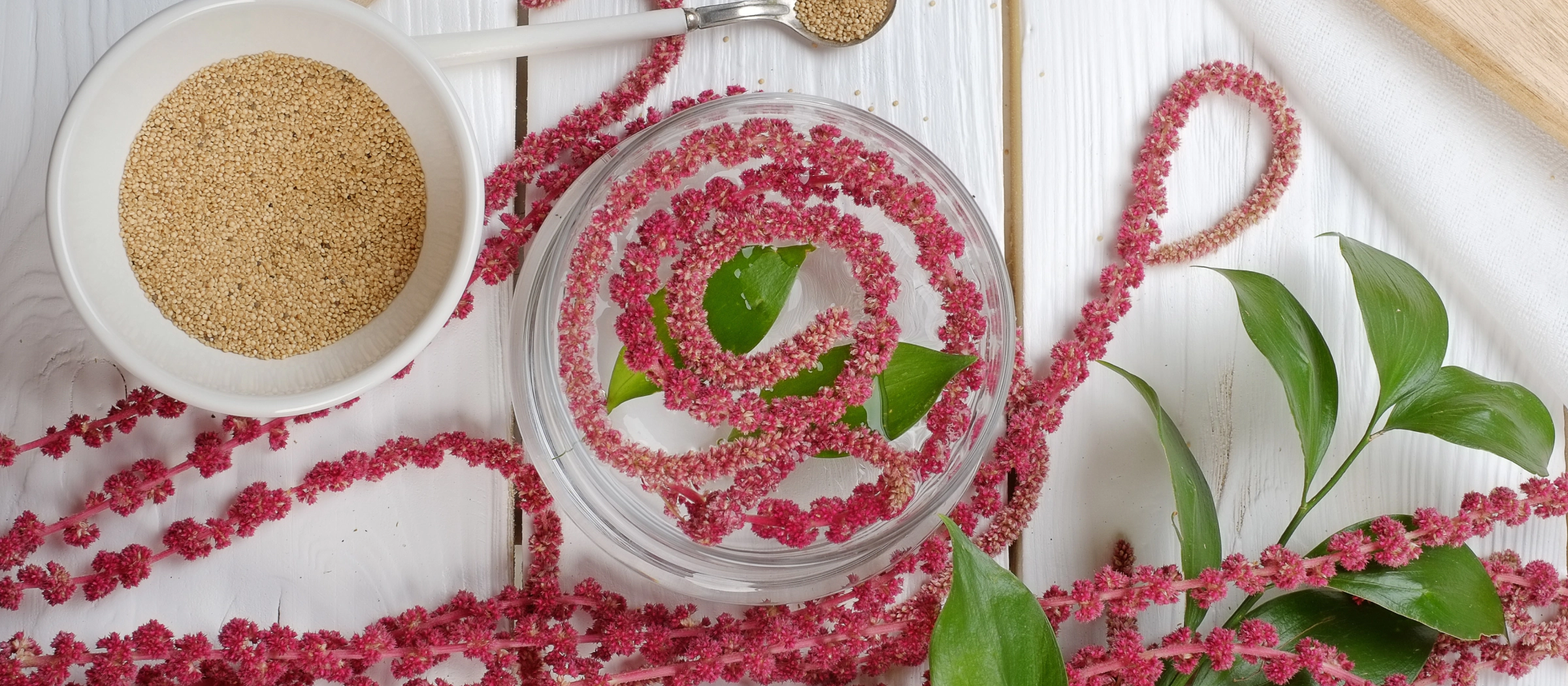 Amaranth-Pflanze und Körner des Amaranths auf einem Tisch.