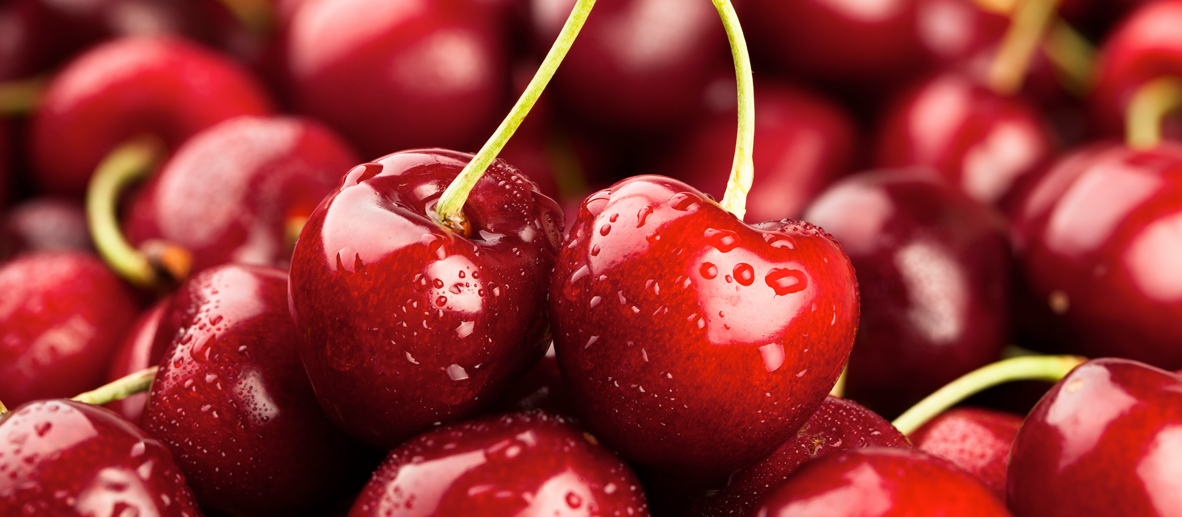 Sommerklassiker zum Selbstpflücken: Kirsch-Rezept