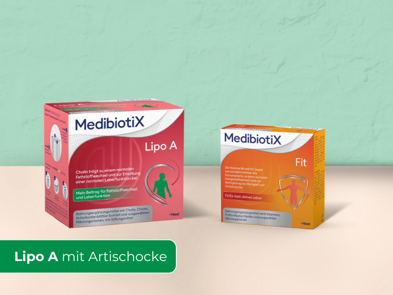 Verdauung & Stoffwechsel Bundle Verdauung & Stoffwechsel Bundle