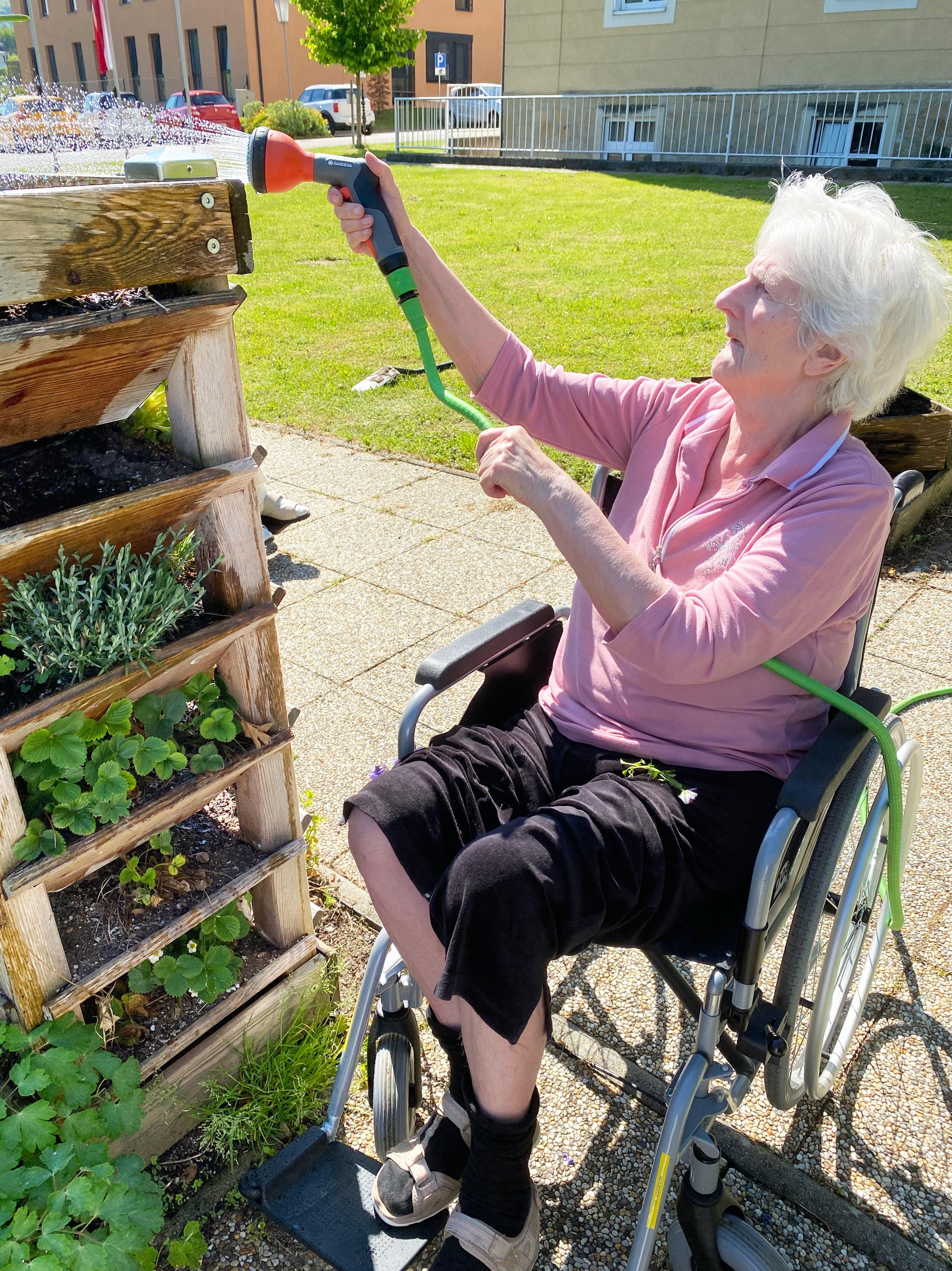 Eine ältere Dame gießt mit der Wasserleitung ein Hochbeet