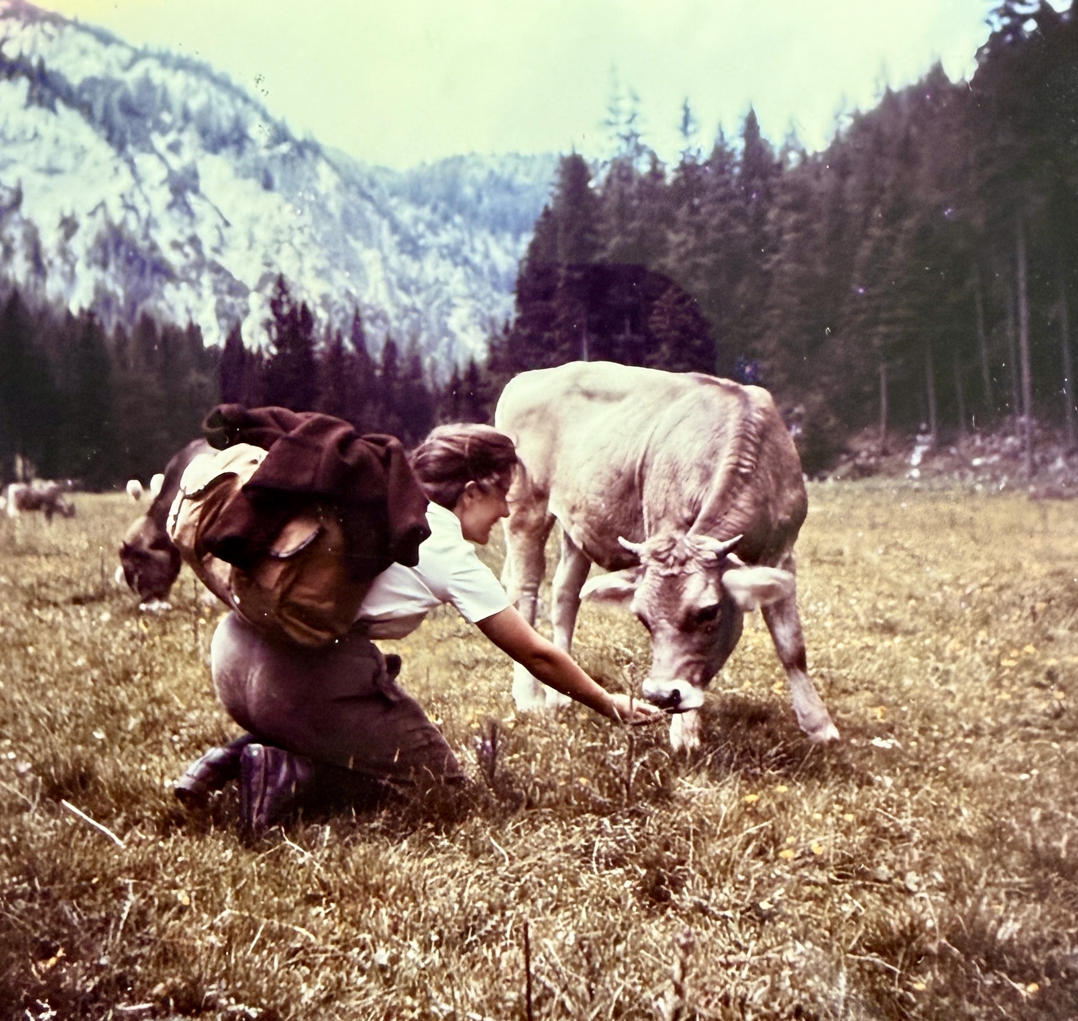 Herta Stifter beim Wandern auf der Alm