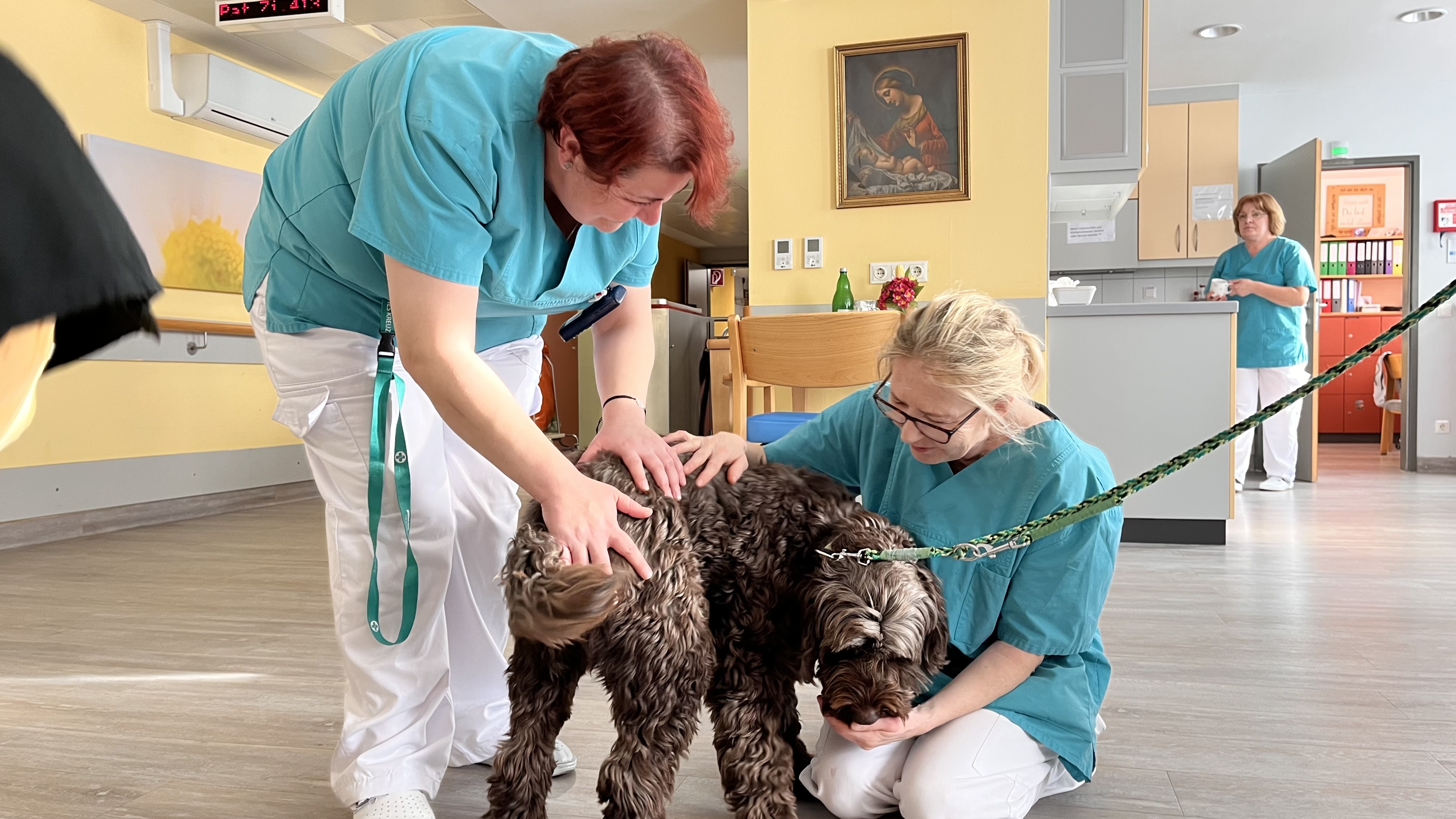 Zwei Pflegekräfte streicheln den flauschigen Therapie-Hund.