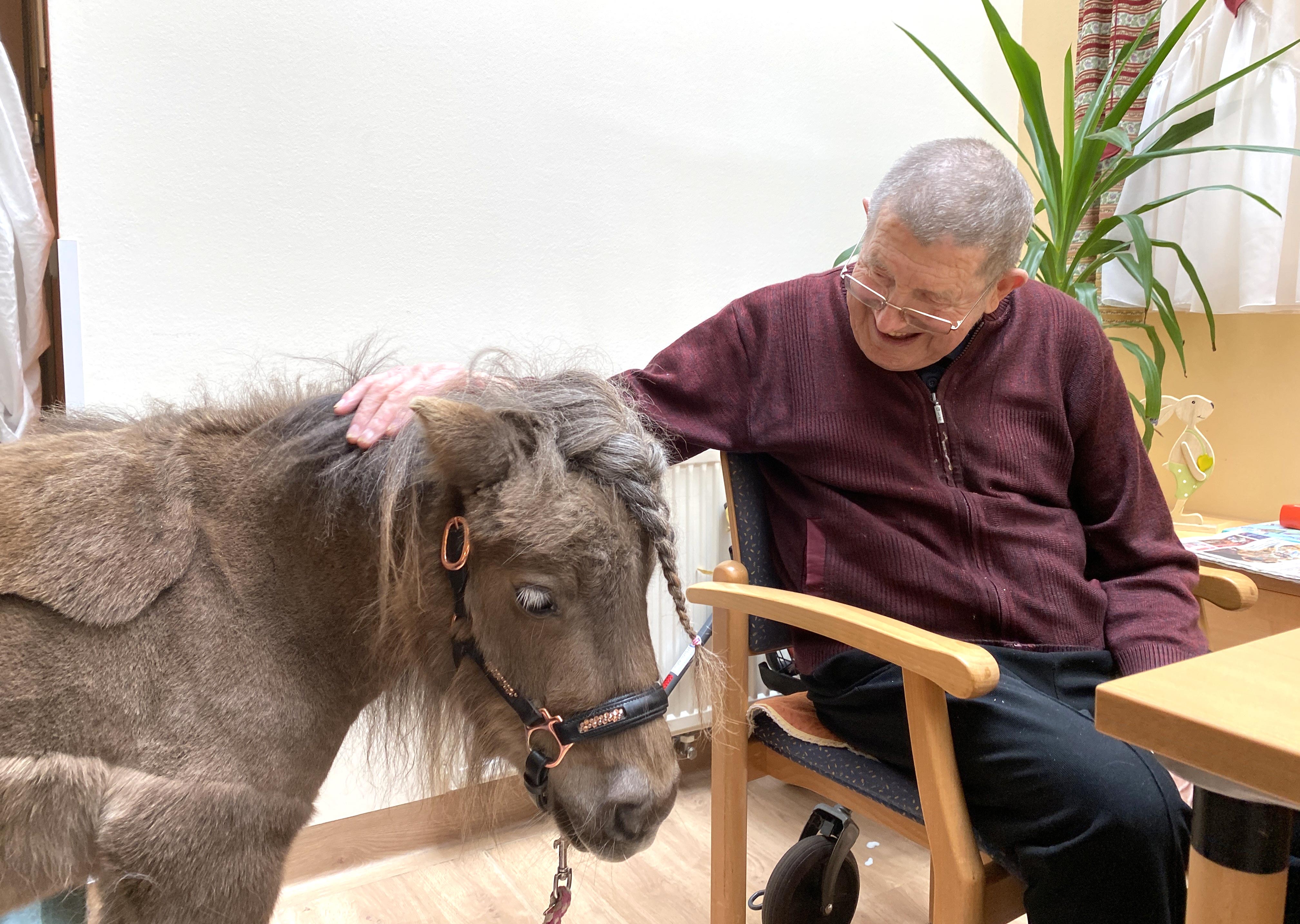 Ein älterer Herr streichelt liebevoll das Therapie-Pony