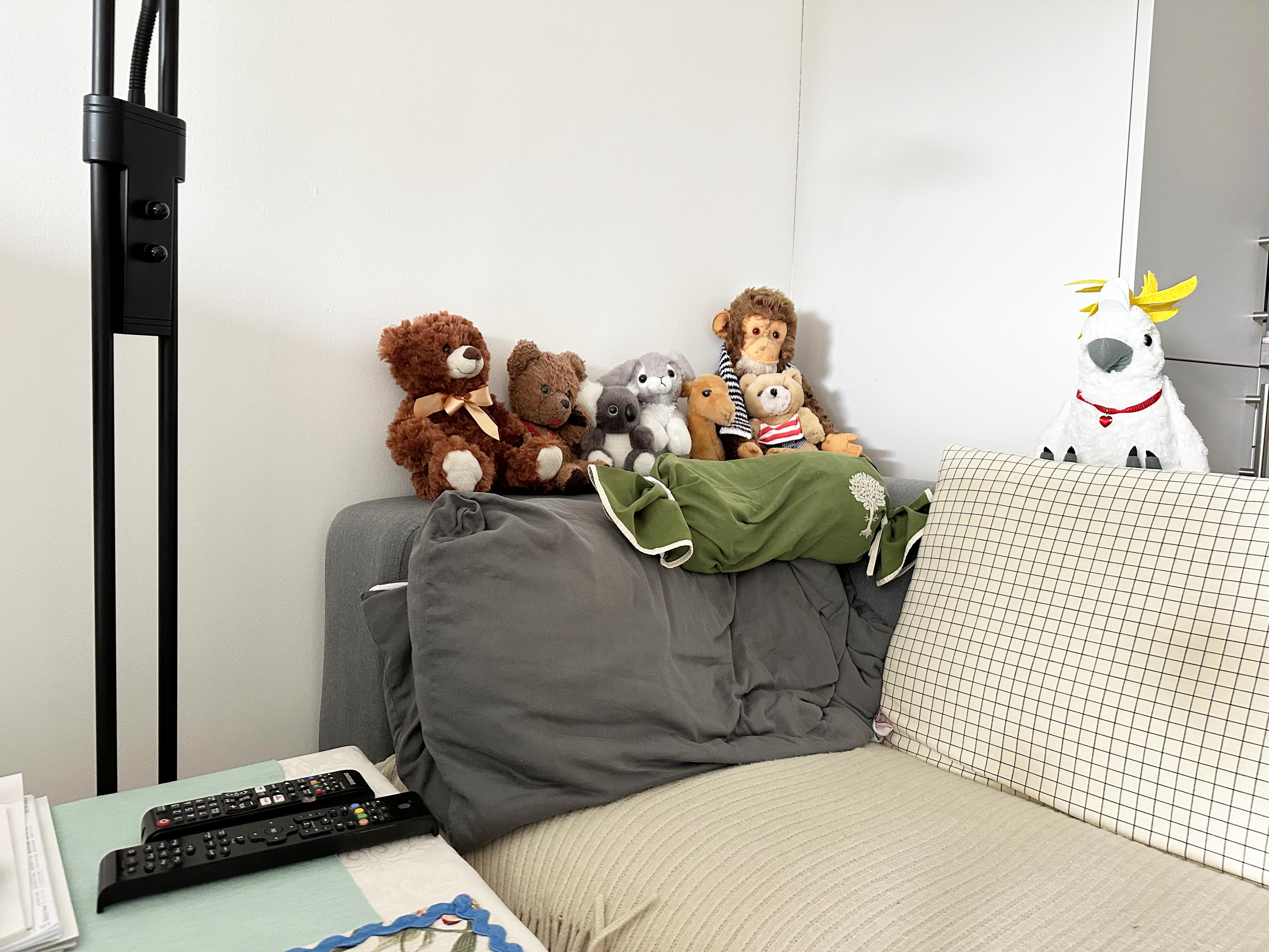 Ein gemütliche Couch mit mehreren Stofftieren