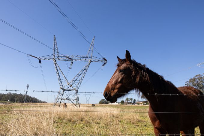Horse standing near barbed wire fence in a grassy field with a large electricity pylon in the background.