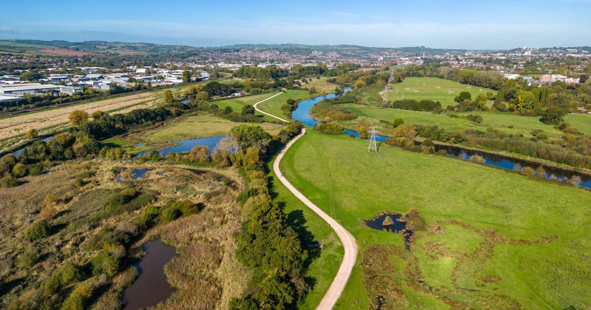 Explainer: Nature-based solutions to flooding - Nature-Based Solutions For Urban Flooding Risks