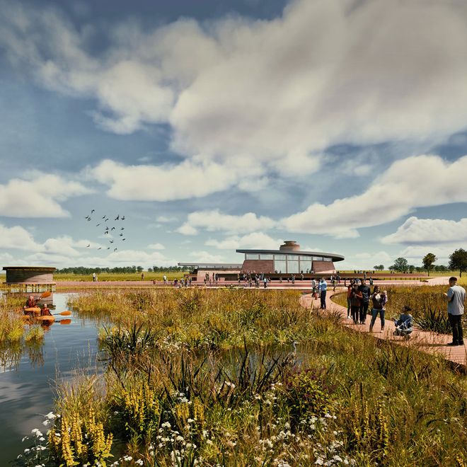 Visitors on a wooden boardwalk through marsh with wildflowers and reeds