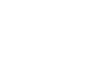 Vilsa