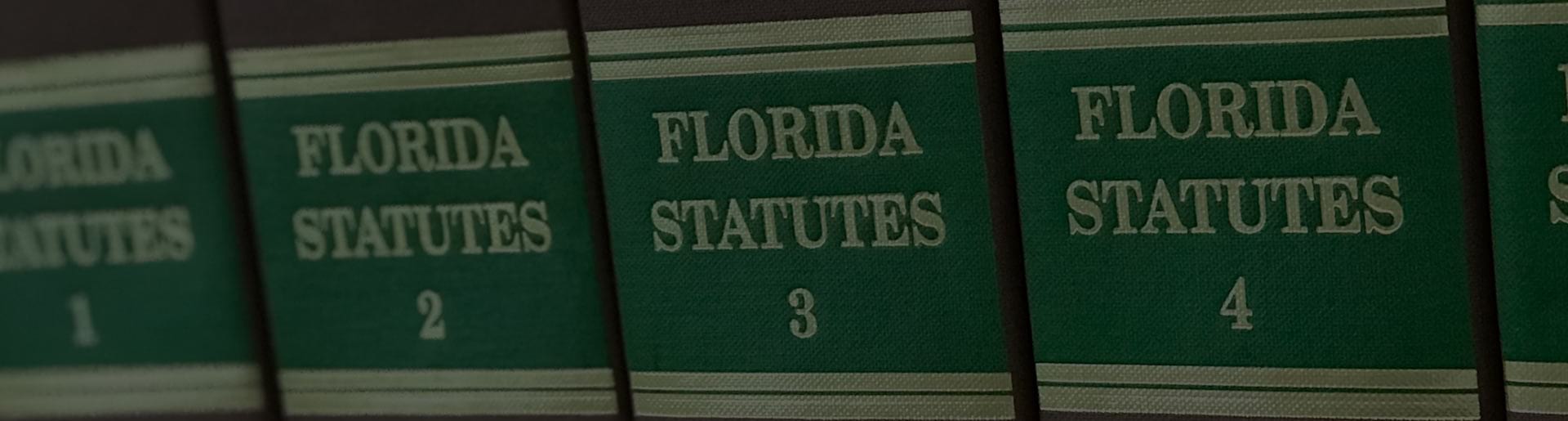 Florida Statutes