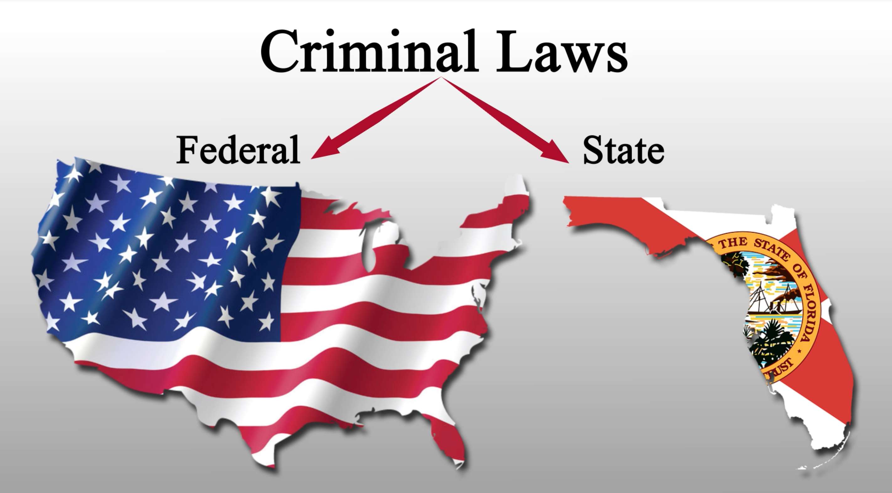 Criminal laws