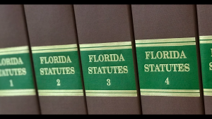 Florida Statutes
