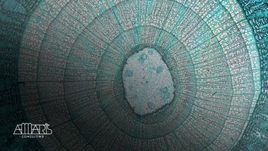 generative-ai-solutions