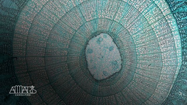 generative-ai-solutions