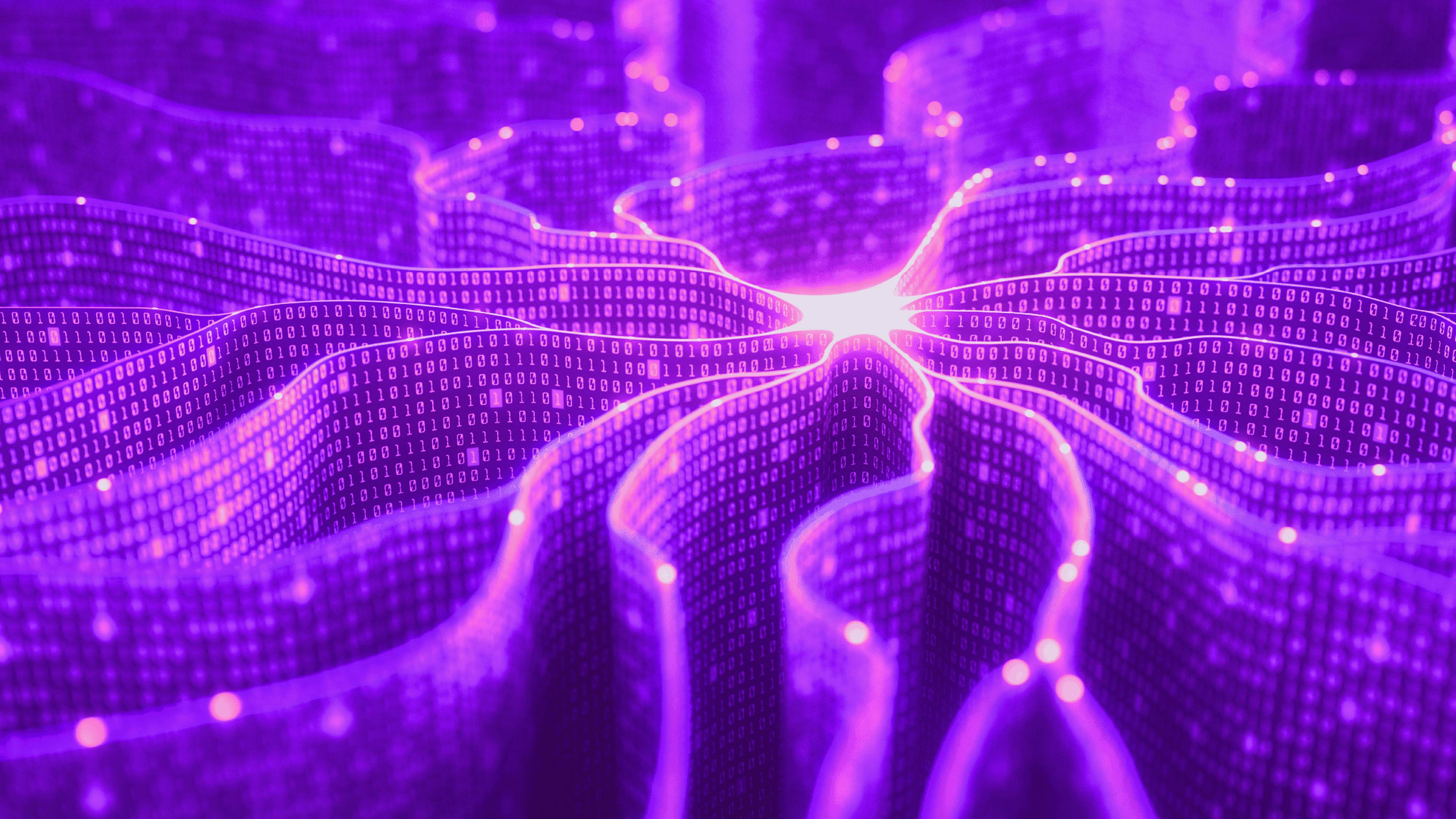 the social algorithm