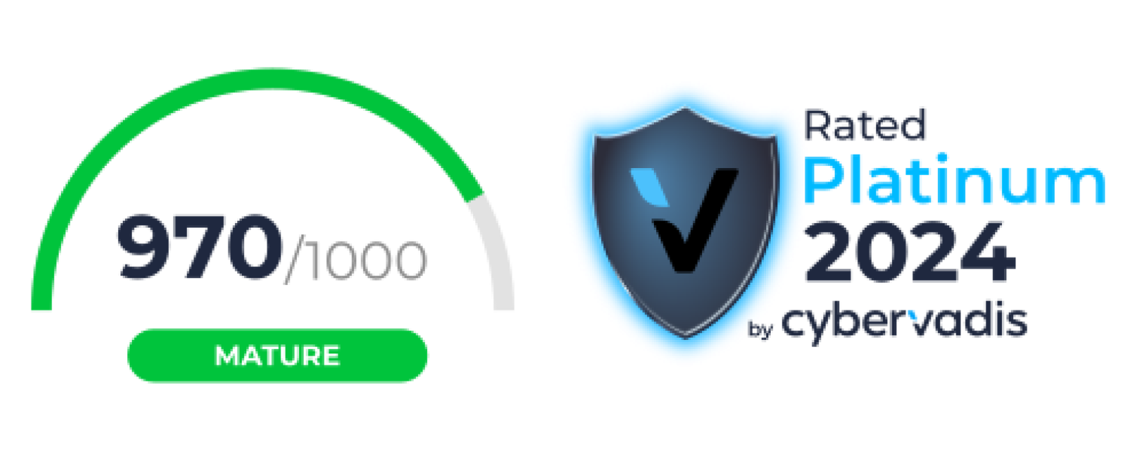 cybervadis